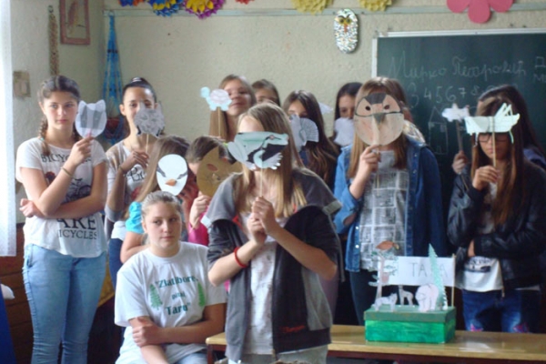 Environmental performance